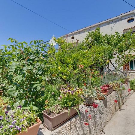 Apartment Carmen Veli Lošinj Екстериор снимка